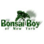 Bonsai Boy coupon codes